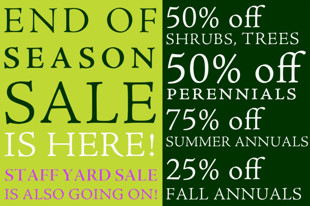 PF25_EOSeasonSale_home