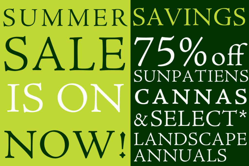 PF26_SeasonSale_home-8-75