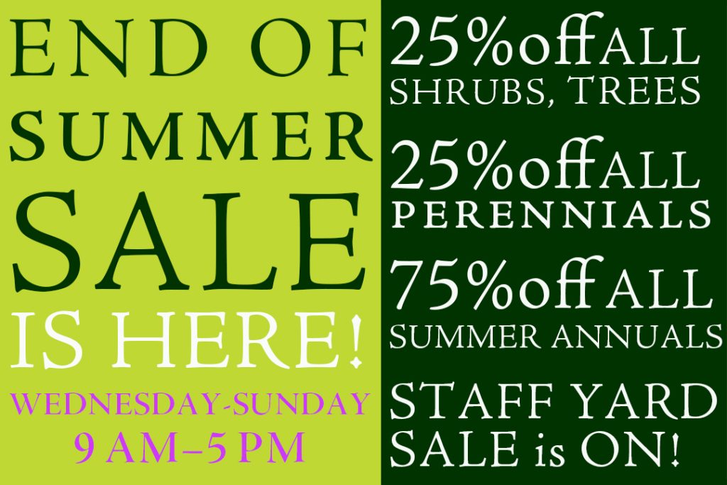 PF26_ENDSumSale752_home